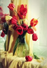 Tulpen / ---------------