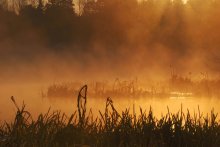 Morgendämmerung / ***