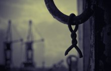 Intertwined / ***
