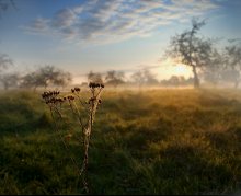 C Guten Morgen! / .....