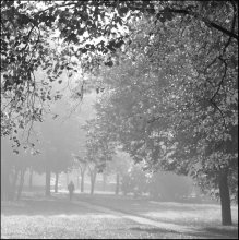 Im Park / *****