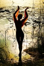 Sommer / ***