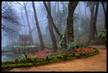Misty morning / |"|"|"|"|"|