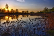 Die Ruhe / ***