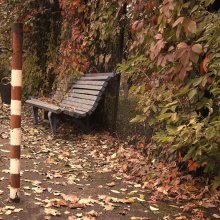 Bank im Park / .........