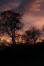Sonnenuntergang Stimmung / ***