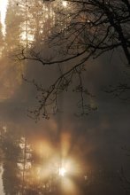 Im Licht der Sonne / ***