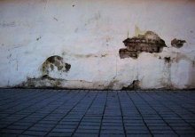 Hunde / ***