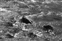 Golden Water / ***
