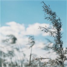 Vor dem Wind / *****