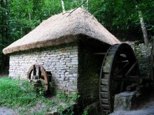 Mnoga zyarna - kuplyay svinney viel groshau kuplyay Mlyn / ***