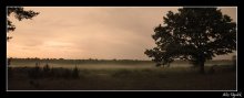 ........... Wenn der Nebel den Boden berührt .......... / ***