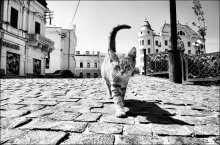 lokalen / ***