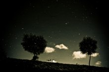 Weder Tag noch Nacht / -----