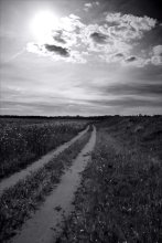der Sonne entgegen / ***