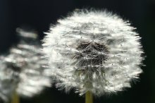 Warten auf Wind / ***