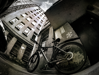 Bike / ***