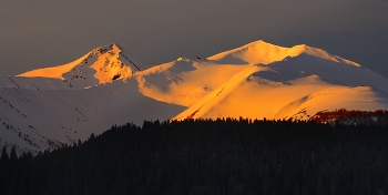 Morgendämmerung / ***