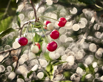  / '''''''''