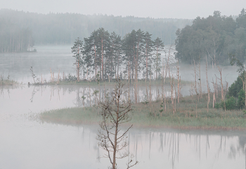 Nebliger Morgen / ***