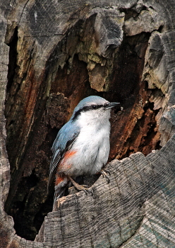in der Mulde / ***