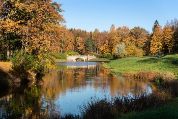 Herbst in Pawlowsk / ***