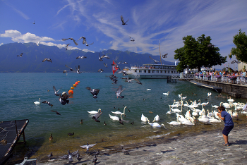 Direkt am Wasser / ...