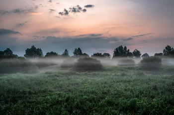 Julimorgen / ***