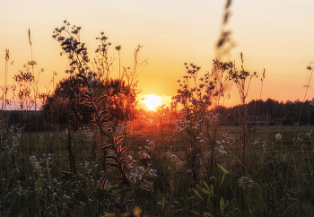 Sonnenuntergang / ***