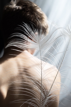 Icarus / ***