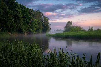 Am Morgen auf dem Fluss / ***