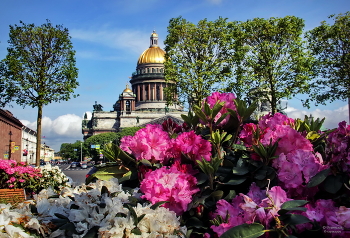 St. Isaak-Kathedrale / ***