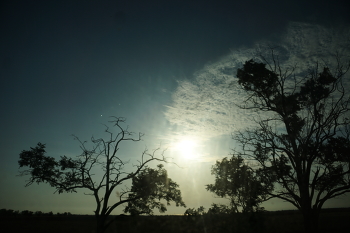 Abend / ***