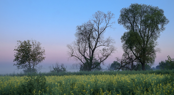 In dem Feld. / ***