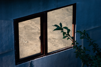 Fenster / ***