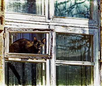 Glass / ***