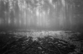 Letzter Schnee / ***