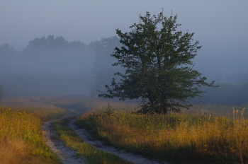 Morgen Landschaft / .....