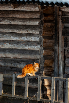 Auburn. / ***