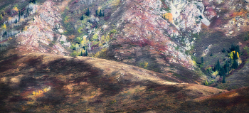 Die Palette des Herbstes / ***