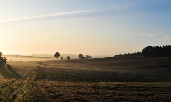 einfach morgens / ***