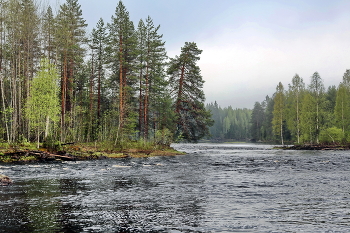 Morgen auf dem Fluss / ***