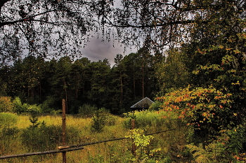Herbst Nachmittag. / ***