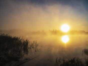 Morgendämmerung / ***