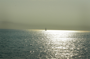 Segel / ***