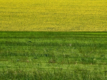  / /\/\/\/\