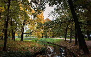 Im Herbst des Parks ... / ***