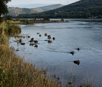  / https://photocentra.ru/work/1105580?id_auth_photo=29736
