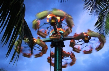 Carousel / ***
