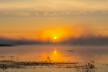 Goldene Nebel / ***